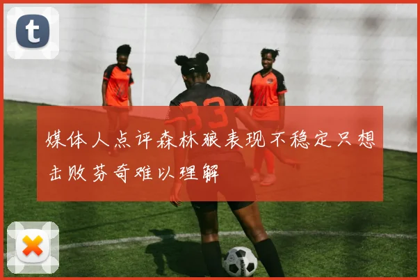 媒体人点评森林狼表现不稳定只想击败芬奇难以理解